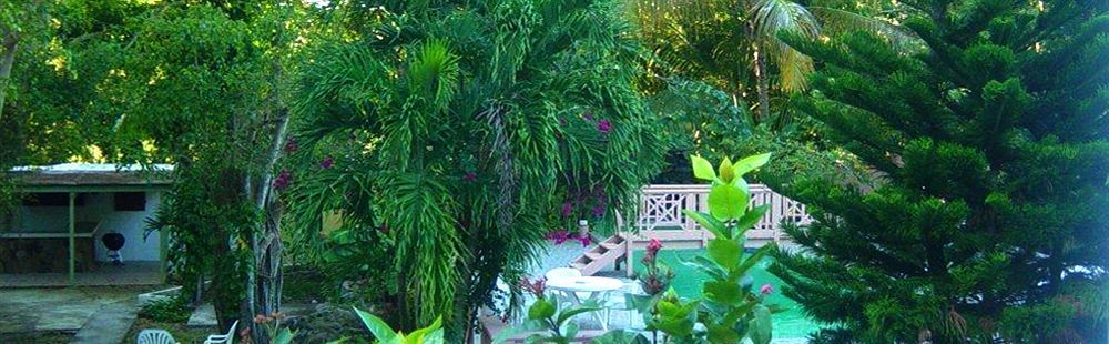 Icis Villas Brewers Bay Εξωτερικό φωτογραφία