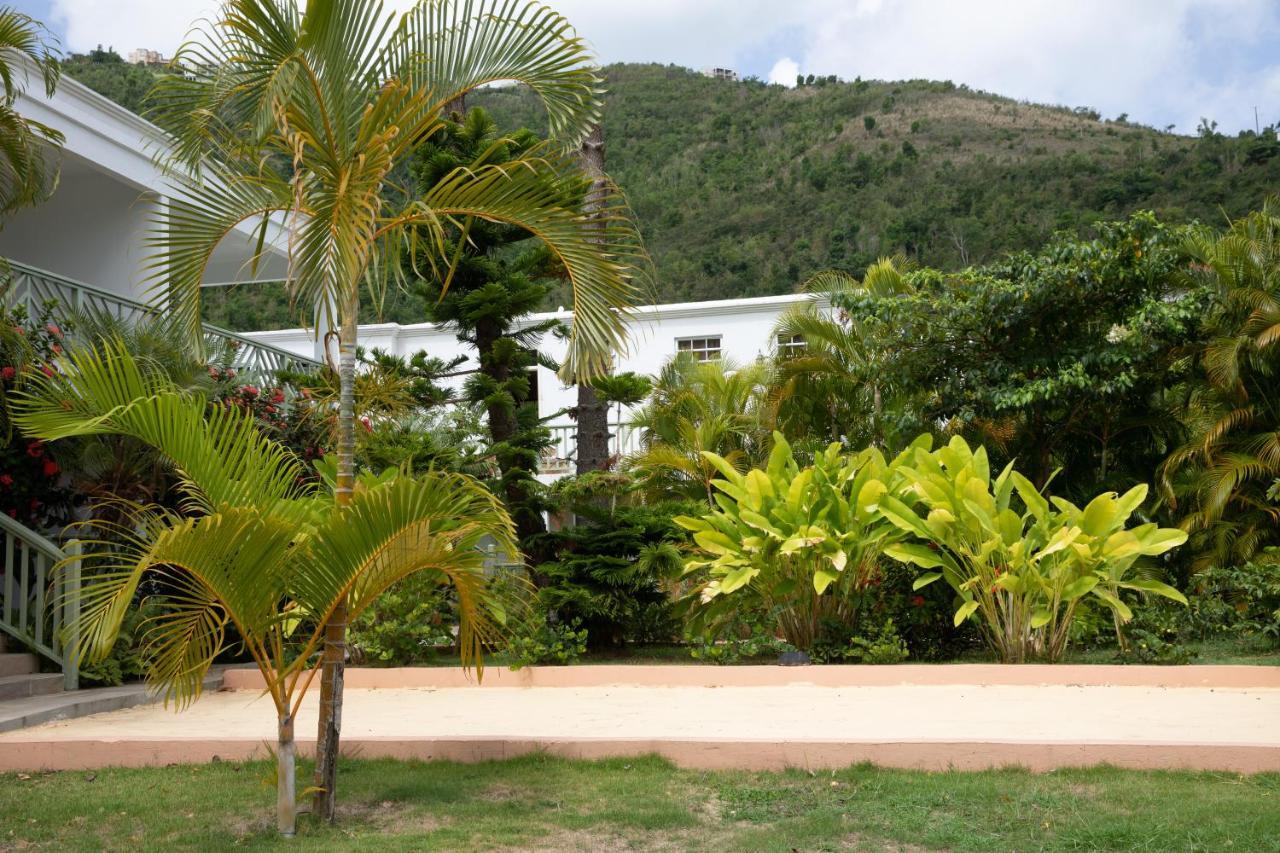 Icis Villas Brewers Bay Εξωτερικό φωτογραφία